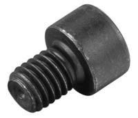 <br/>Fillister head screw