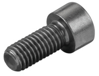 <br/>Fillister head screw