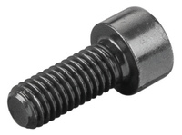 <br/>Fillister head screw