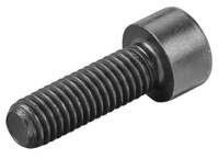 <br/>Fillister head screw