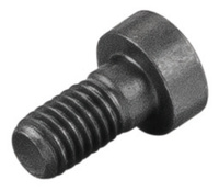 <br/>Fillister head screw