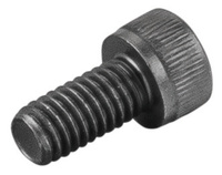 <br/>Fillister head screw