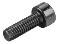 <br/>Fillister head screw