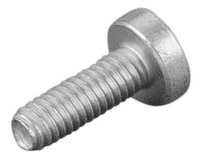 <br/>Oval head screw